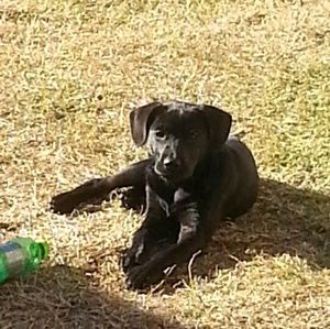 Meet your Posher, Pamela